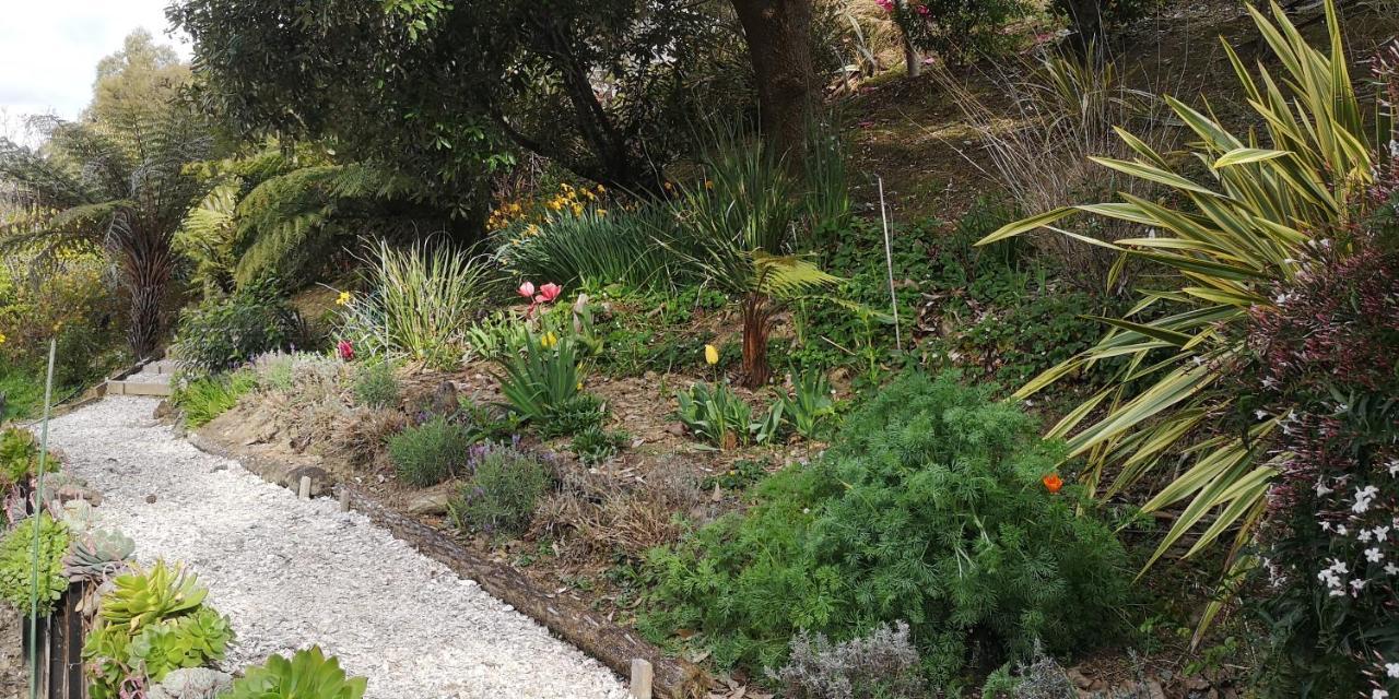 האבלוק Moana Haven B&B מראה חיצוני תמונה